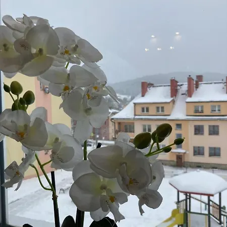 Bb Na Halnej Krynica Zdroj